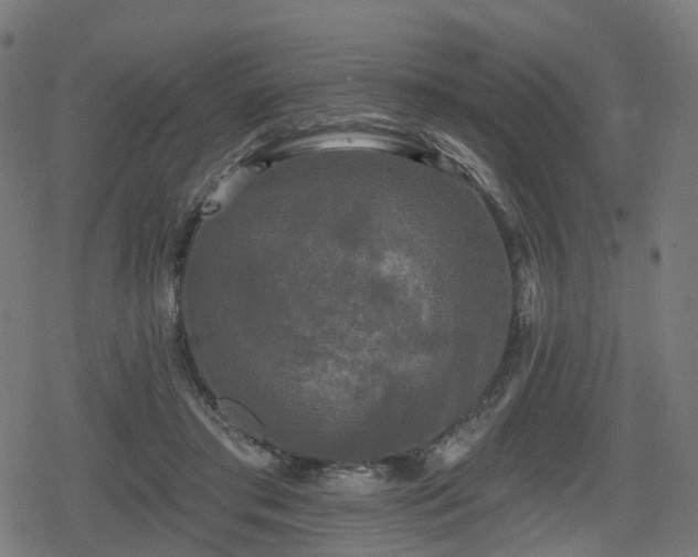 X0000078290405200611101113