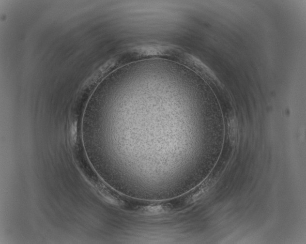 X0000078290406200611101113