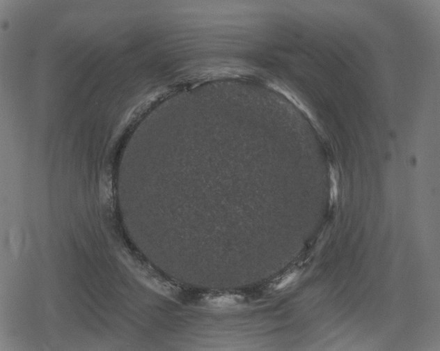 X0000078290407200611101113