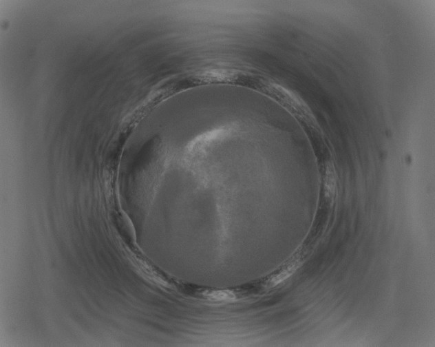 X0000078290409200611101113