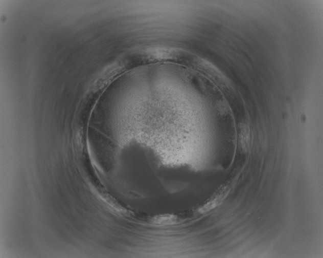 X0000078290410200611101113