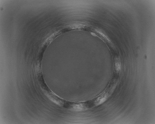 X0000078290411200611101113