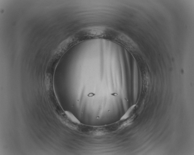 X0000078290412200611101113