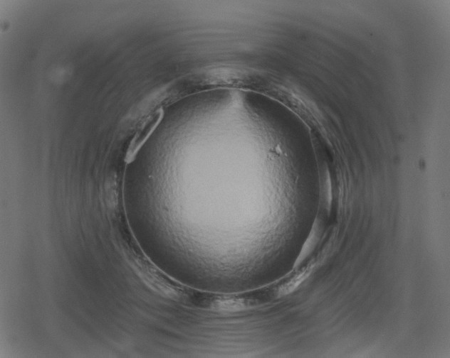 X0000078290413200611101113