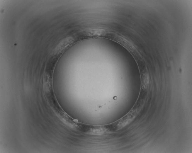 X0000078290414200611101113