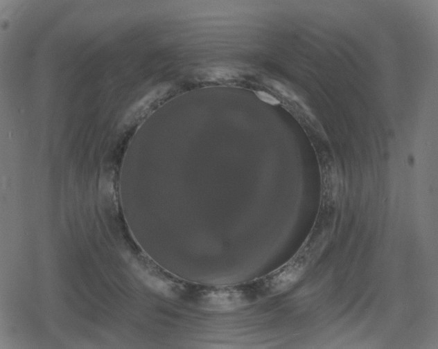 X0000078290415200611101113