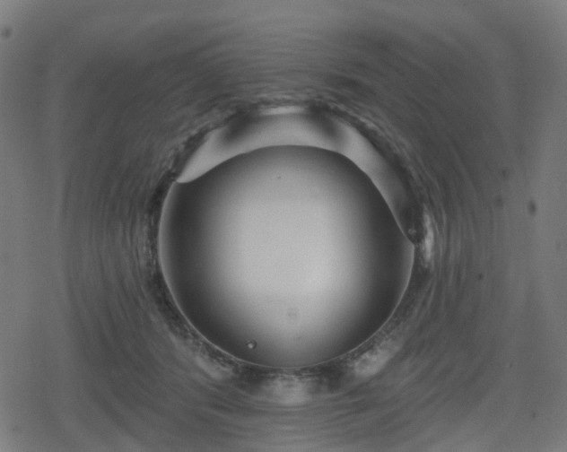 X0000078290416200611101113