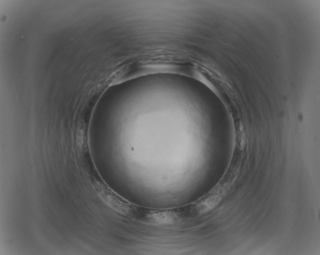 X0000078290417200611101113