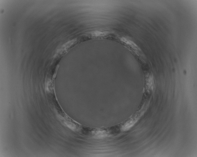 X0000078290419200611101113