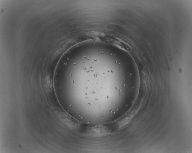 X0000078290420200611101113