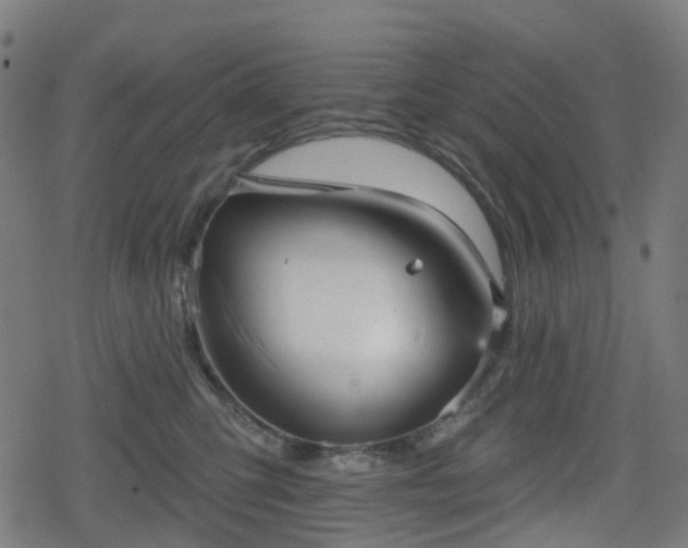 X0000078290423200611101113