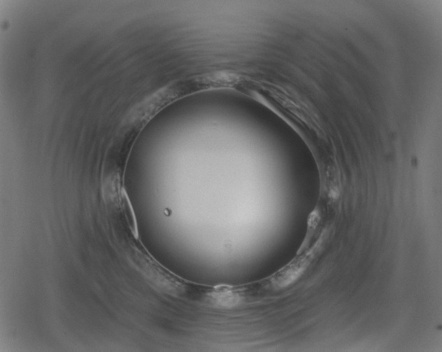 X0000078290425200611101113