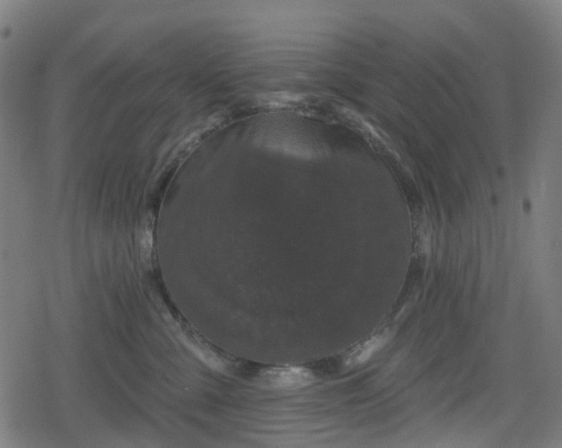 X0000078290427200611101113