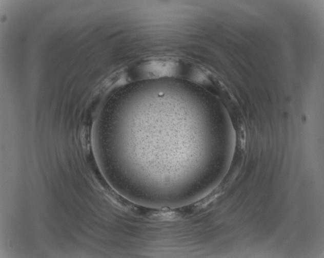 X0000078290428200611101113