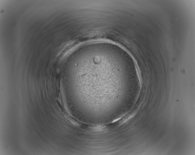 X0000078290432200611101113