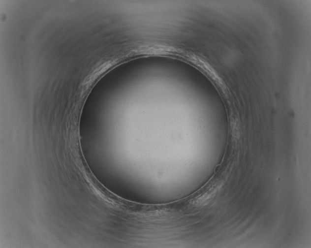 X0000078290433200611101112