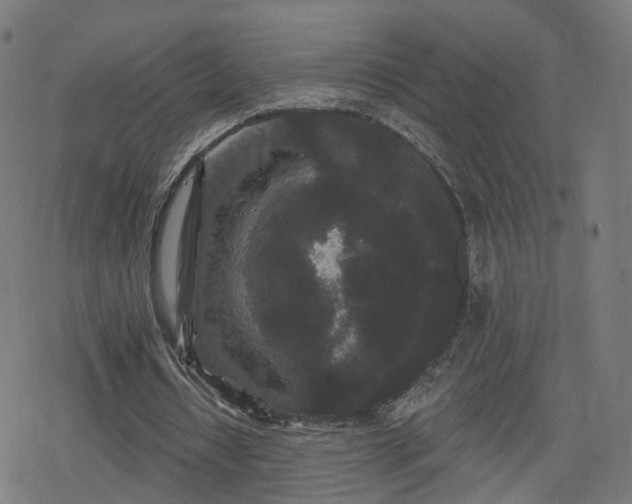 X0000078290434200611101112