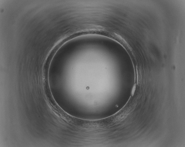 X0000078290435200611101112