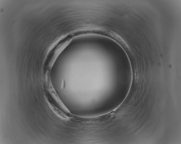 X0000078290436200611101112