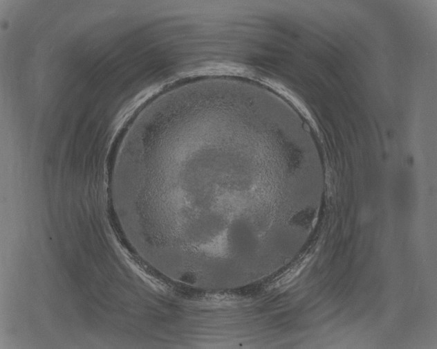 X0000078290437200611101112