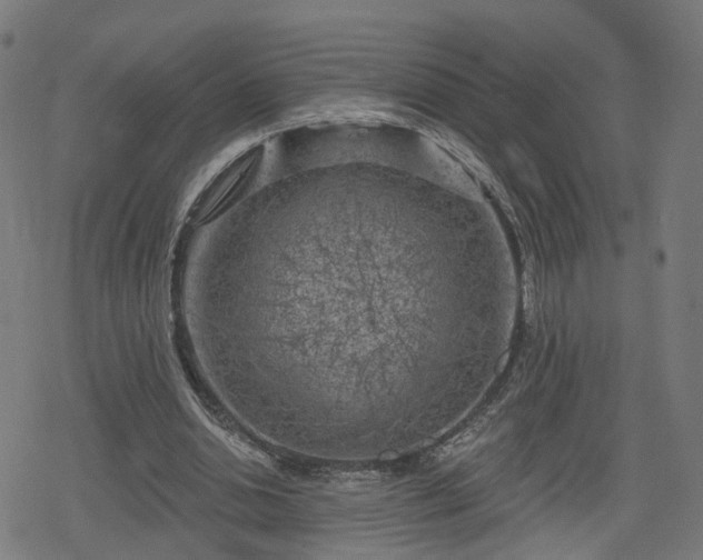 X0000078290438200611101112