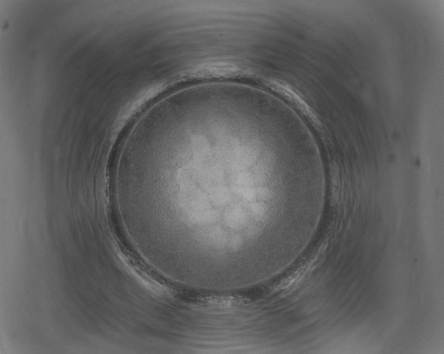 X0000078290439200611101112