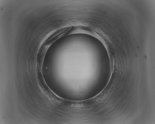 X0000078290440200611101112