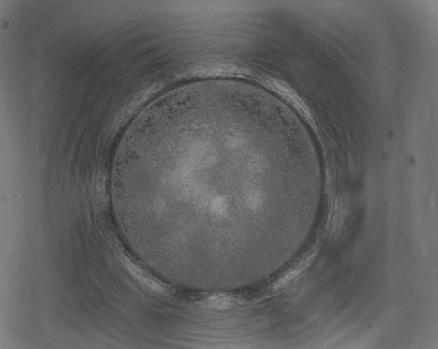 X0000078290441200611101112