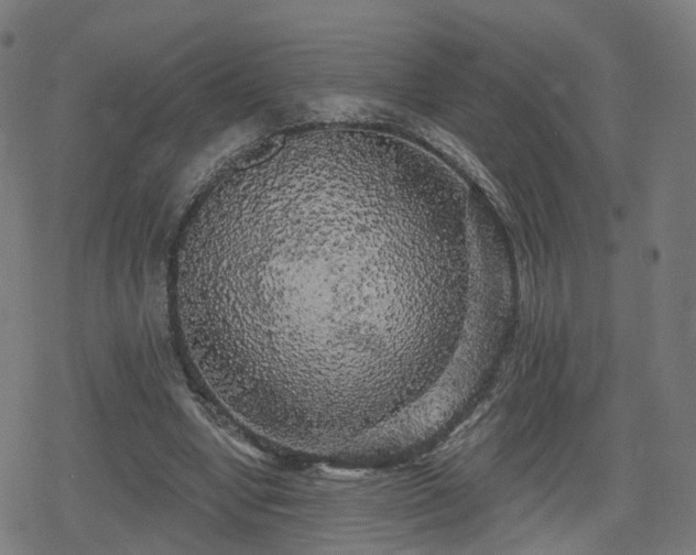 X0000078290442200611101112