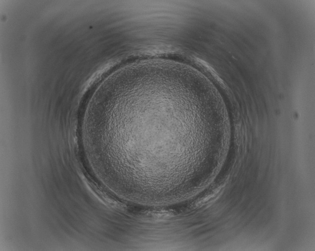 X0000078290443200611101112