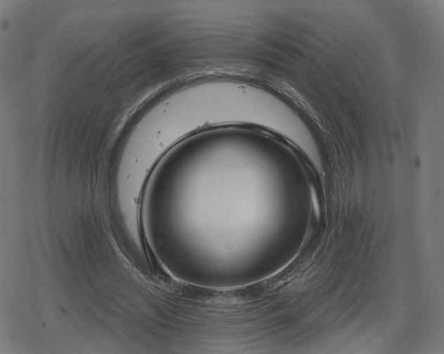 X0000078290444200611101112