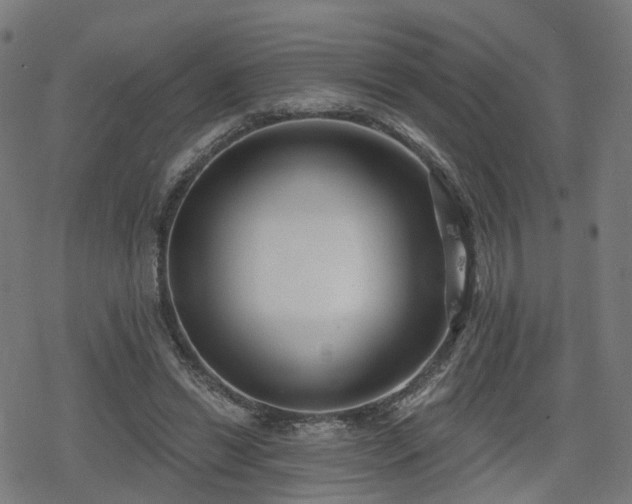 X0000078290446200611101112