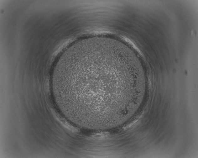 X0000078290447200611101112