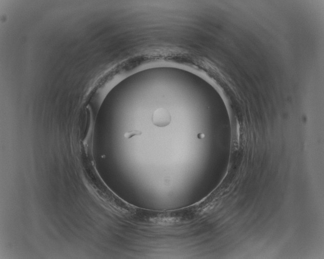 X0000078290448200611101112