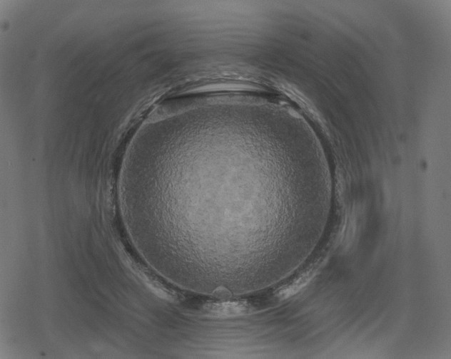 X0000078290449200611101112