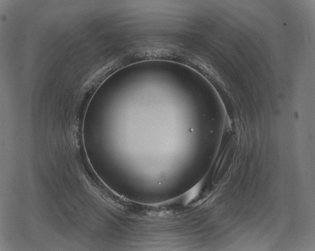 X0000078290450200611101112