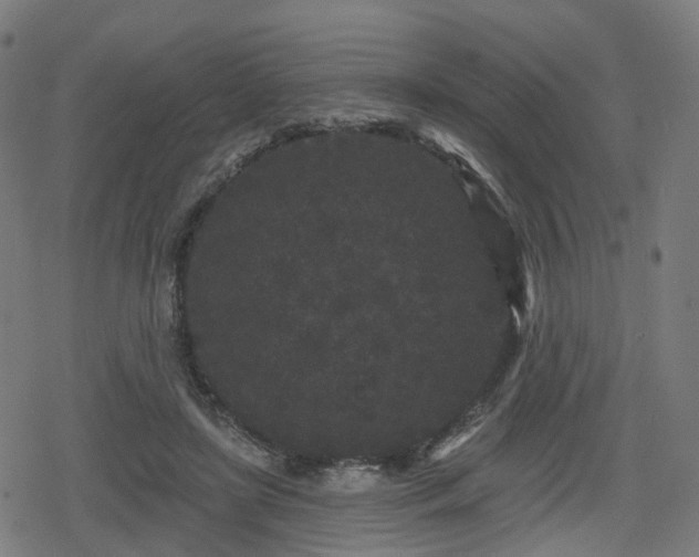 X0000078290451200611101112