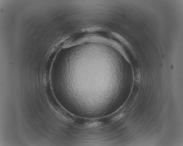 X0000078290452200611101112