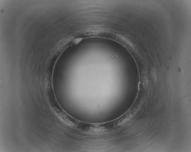 X0000078290455200611101112