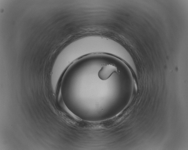 X0000078290456200611101112