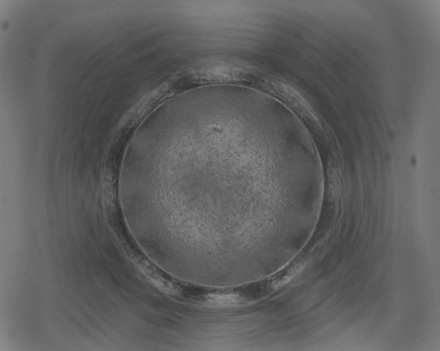 X0000078290457200611101112