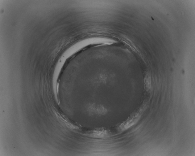 X0000078290458200611101112