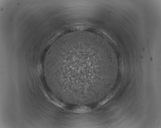 X0000078290459200611101112