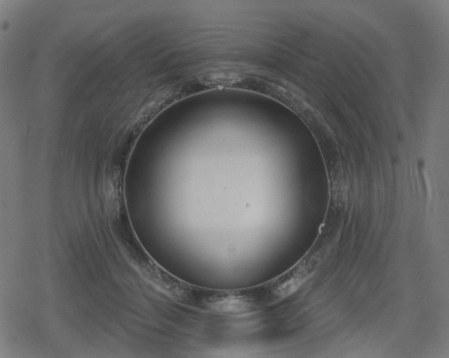 X0000078290460200611101113