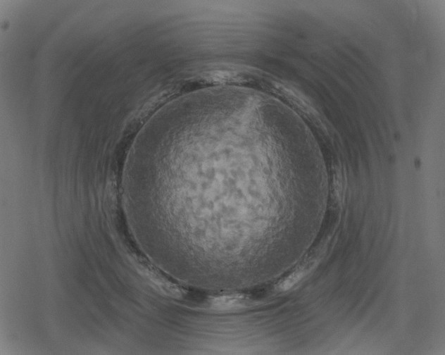 X0000078290461200611101113