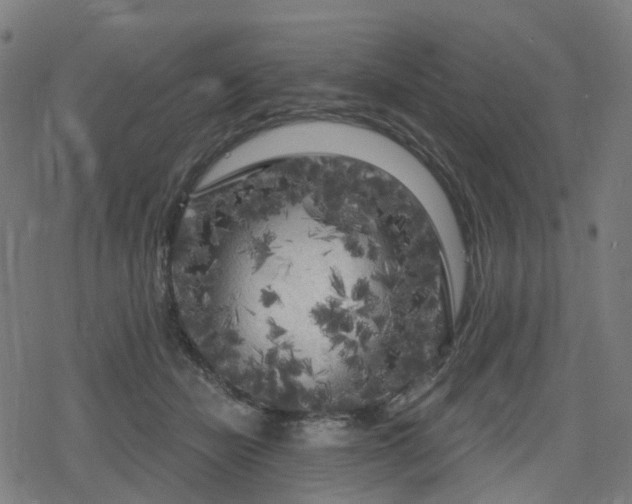 X0000078290462200611101113