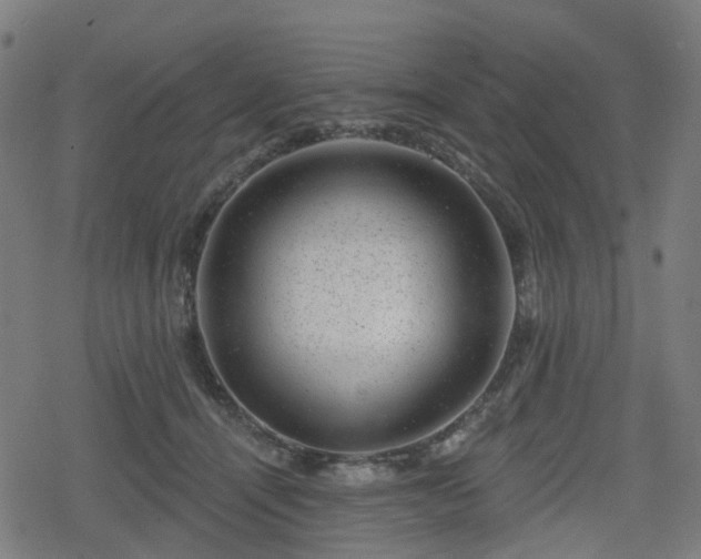 X0000078290464200611101113