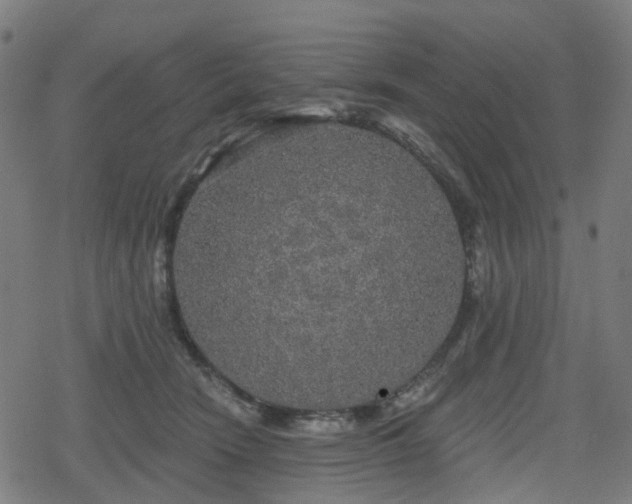 X0000078290466200611101113