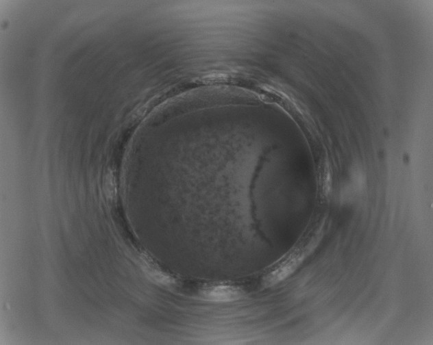 X0000078290467200611101113