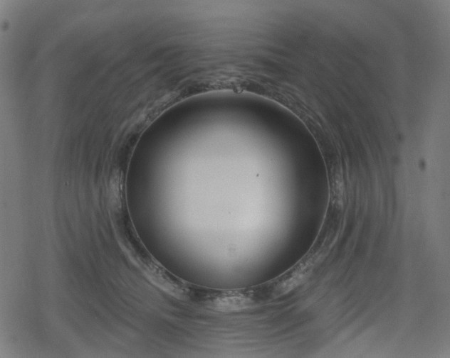 X0000078290468200611101113